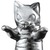 Solid Silver Negora《Planned to be shipped in late July 2017》