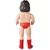 Andre the Giant(Early stage Red version) 《Planned to be shipped in late November 2017》