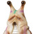 Namekujira(New color luminous)+minisofvi《Planned to be shipped in late August 2025 / Order period is until May 31》